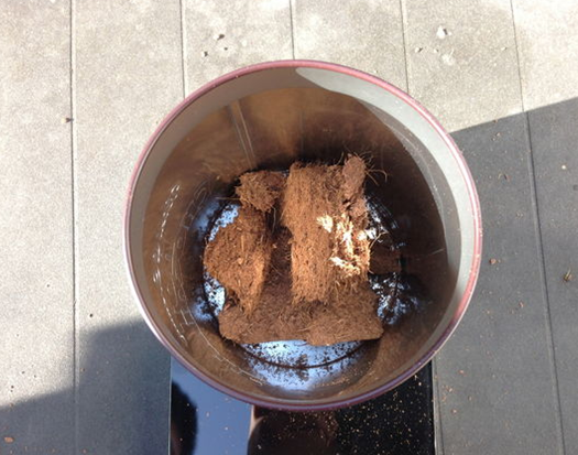 ��ʳ��U�����������̿